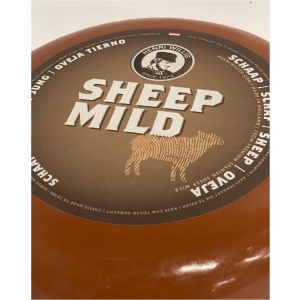 Hollandse Schapenkaas, close up