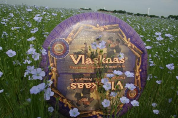 vlaskaas in weiland vlaskaas online kopen